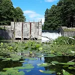 I Kajaki U Krysi Borne Sulinowo